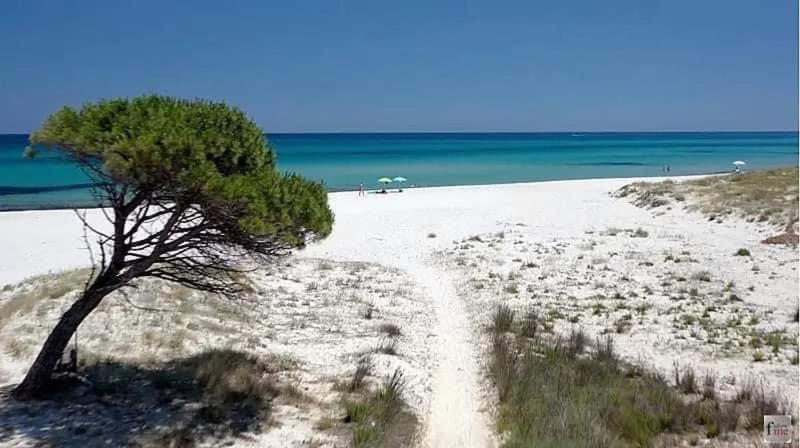Le Residenze Del Mare Monolocale N2 Lägenhet La Caletta Exteriör bild